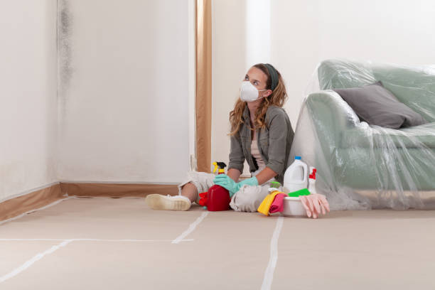 Reliable Commercial Mold Remediation contractor in Fountain Hills, AZ by WQB Mold Removal